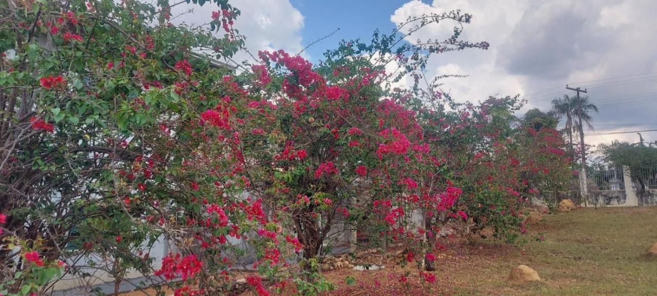 Villa de Assis Suítes Alto Paraíso de Goiás Exterior foto